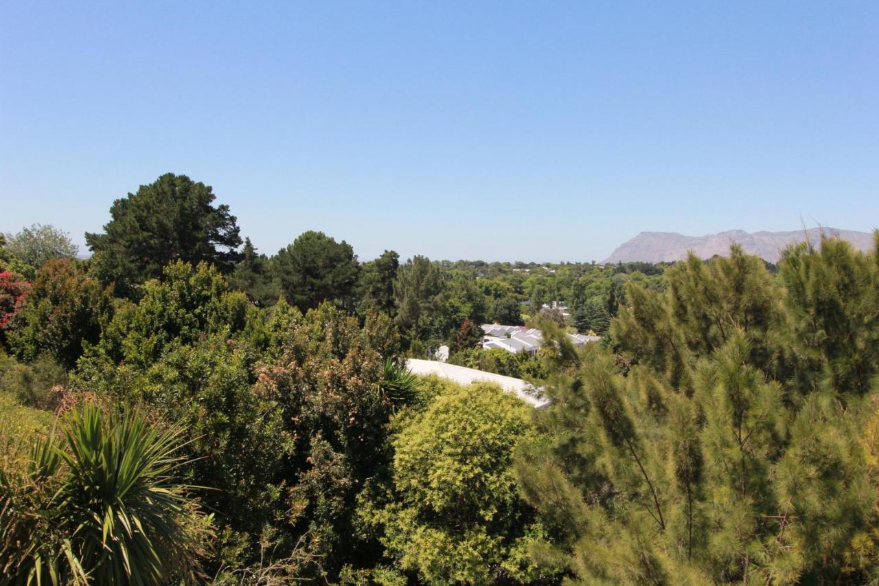 Alphen Drive Apartments Cape Town Dış mekan fotoğraf