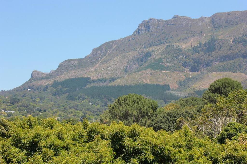 Alphen Drive Apartments Cape Town Dış mekan fotoğraf